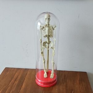Vintage 1991 Workman Publishing Human Skeleton